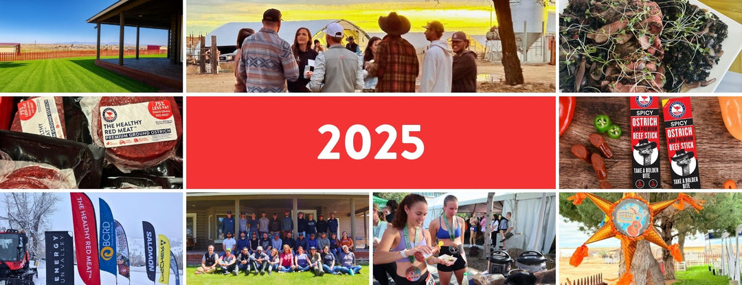 2025 YEAR IN REVIEW
