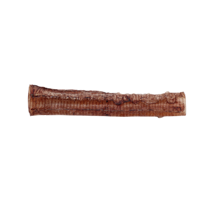 ostrich tracheas pet treat
