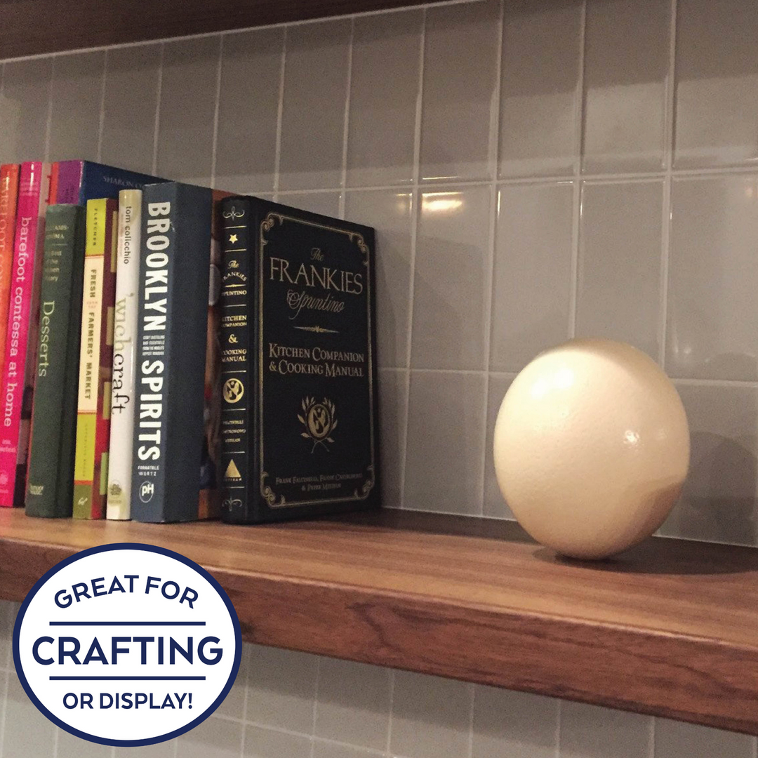 ostrich eggshell on shelf