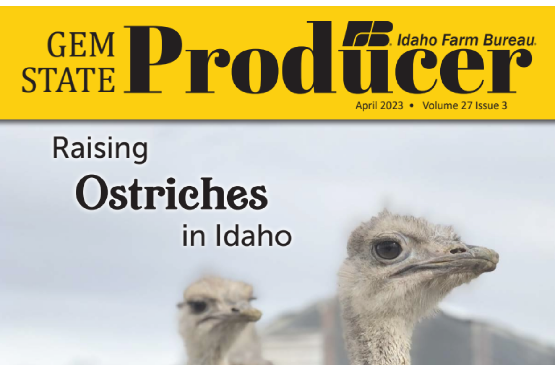 IDAHO FARM BUREAU INTERVIEWS AOF