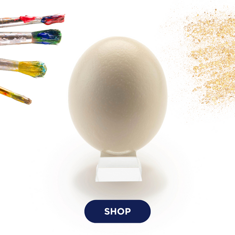 american ostrich farms-ostrich eggshell